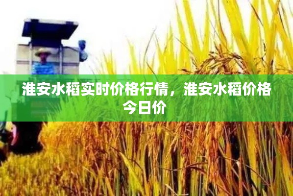 淮安水稻实时价格行情,淮安水稻价格今日价
