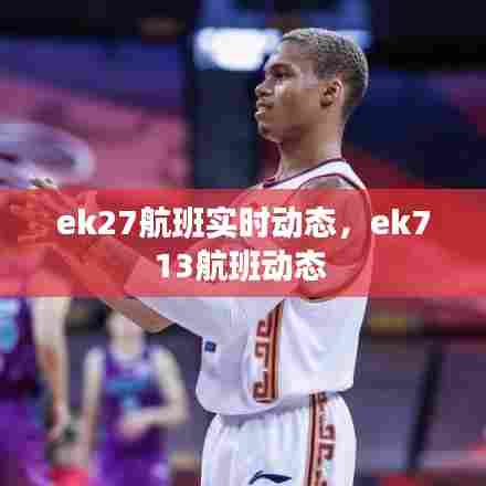 ek27航班实时动态,ek713航班动态