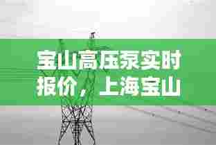 宝山高压泵实时报价,上海宝山高压线入地规划