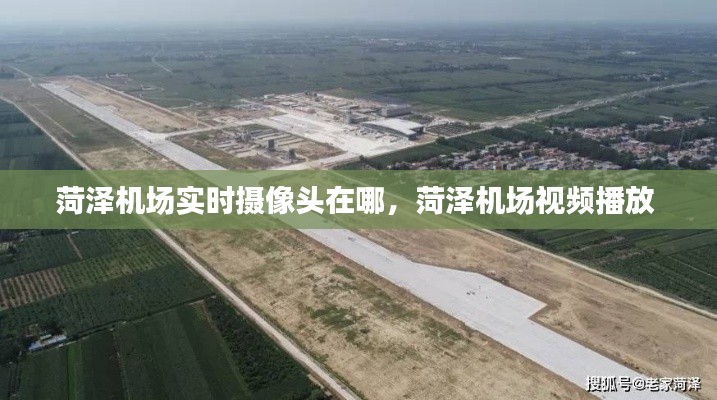 惊弓之鸟 第7页