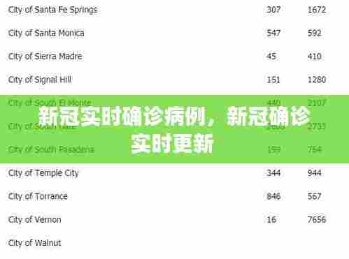 新冠实时确诊病例,新冠确诊实时更新