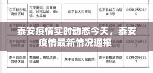 泰安疫情实时动态今天,泰安疫情最新情况通报