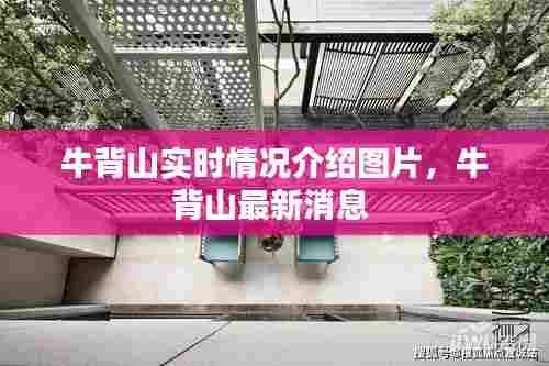 牛背山实时情况介绍图片,牛背山最新消息