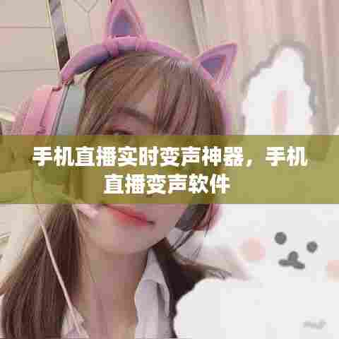 手机直播实时变声神器,手机直播变声软件