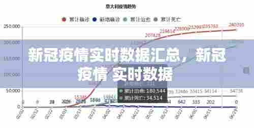 新冠疫情实时数据汇总,新冠疫情 实时数据