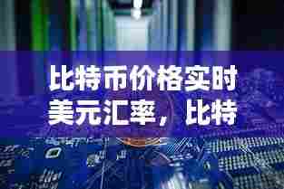 比特币价格实时美元汇率,比特币实时汇率 美元