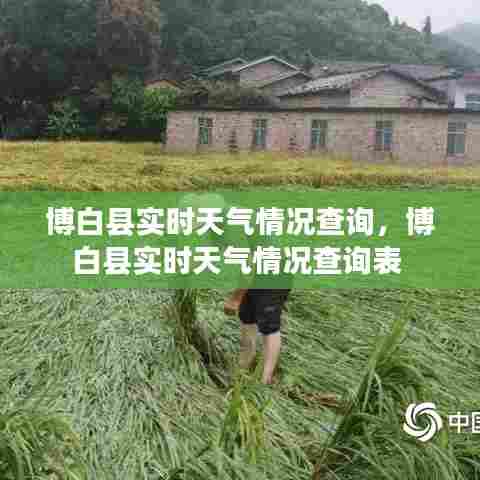 博白县实时天气情况查询,博白县实时天气情况查询表