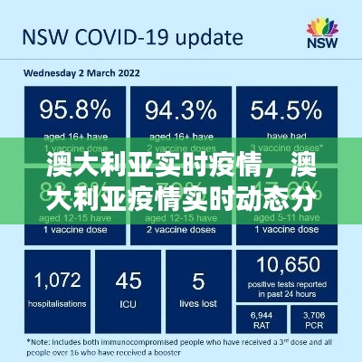 澳大利亚实时疫情,澳大利亚疫情实时动态分布