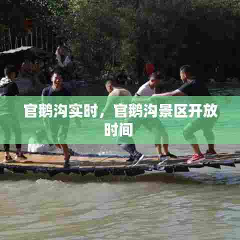 官鹅沟实时,官鹅沟景区开放时间