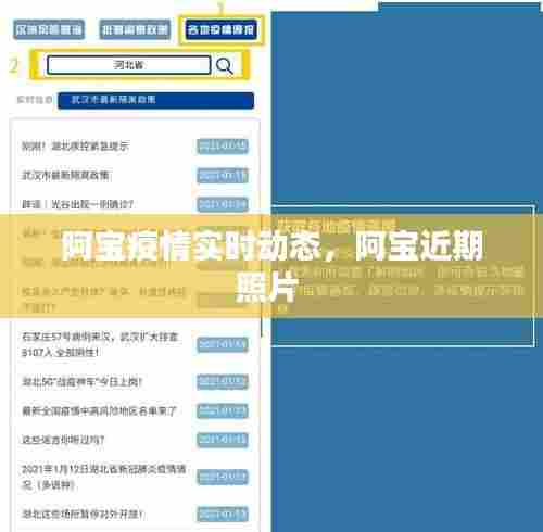 阿宝疫情实时动态,阿宝近期照片