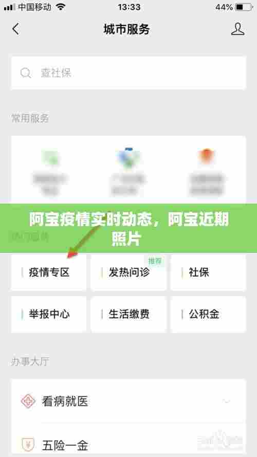 阿宝疫情实时动态,阿宝近期照片