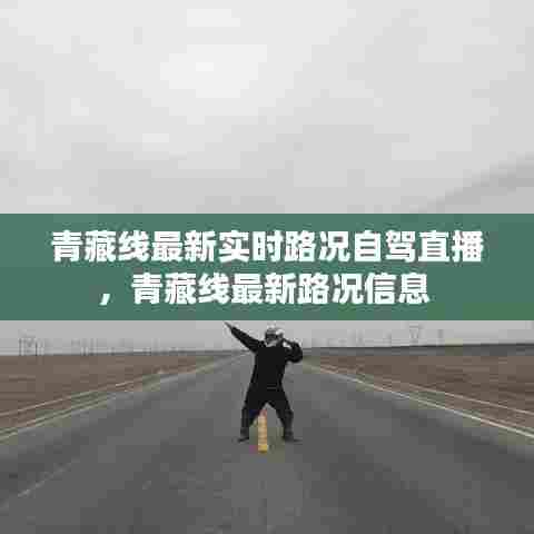 青藏线最新实时路况自驾直播,青藏线最新路况信息