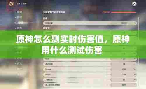 原神怎么测实时伤害值,原神用什么测试伤害