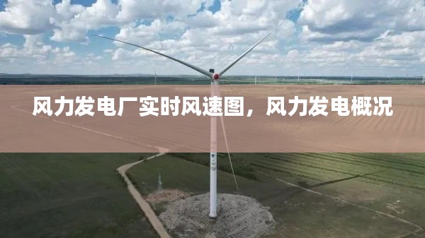 风力发电厂实时风速图,风力发电概况