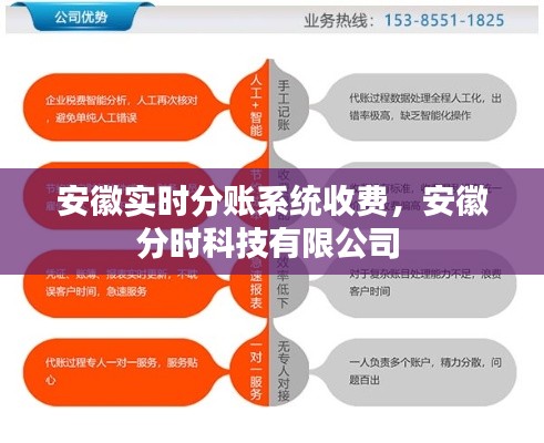 安徽实时分账系统收费,安徽分时科技有限公司