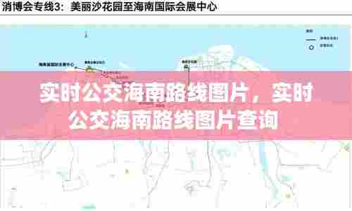 实时公交海南路线图片,实时公交海南路线图片查询