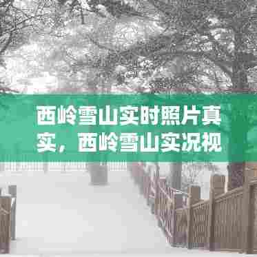 西岭雪山实时照片真实,西岭雪山实况视频