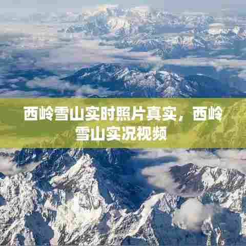 西岭雪山实时照片真实,西岭雪山实况视频