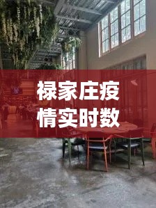 禄家庄疫情实时数据,禄庄花园餐厅怎么样