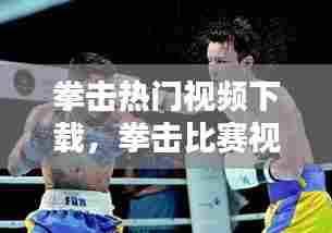 拳击热门视频下载,拳击比赛视频下载