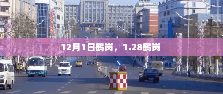 12月1日鹤岗，1.28鹤岗 