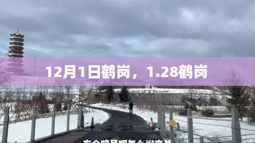 12月1日鹤岗,1.28鹤岗