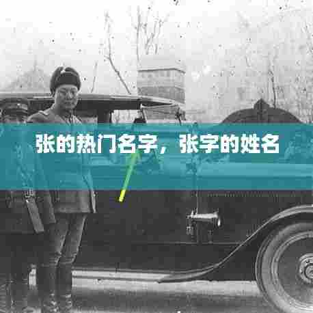 张的热门名字,张字的姓名