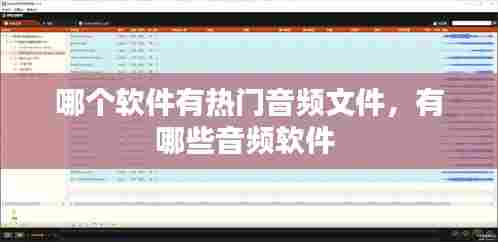 哪个软件有热门音频文件,有哪些音频软件