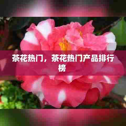 茶花热门,茶花热门产品排行榜