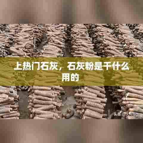 去故就新 第6页