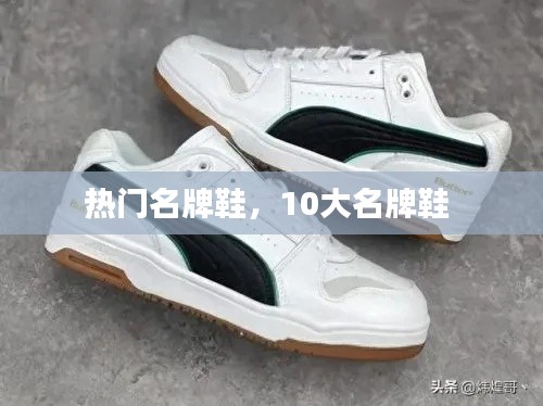 韦编三绝 第6页