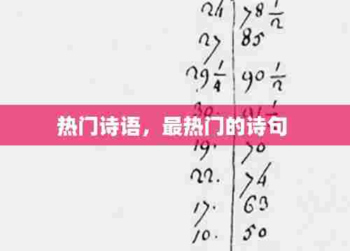 热门诗语,最热门的诗句
