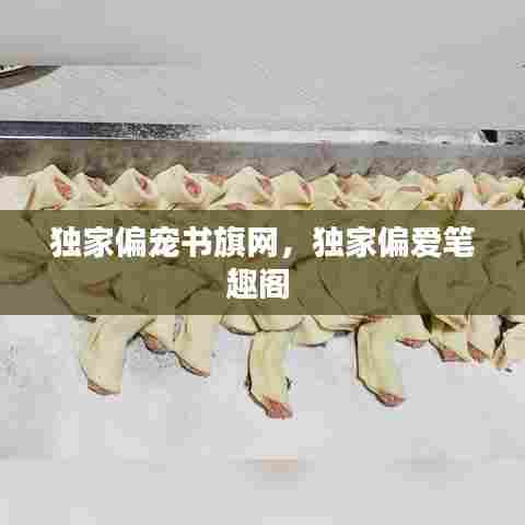 独家偏宠书旗网,独家偏爱笔趣阁