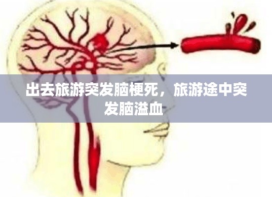 口若悬河 第6页