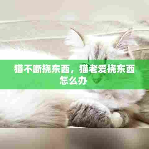 猫不断挠东西，猫老爱挠东西怎么办 
