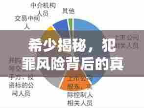 希少揭秘,犯罪风险背后的真相与应对策略独家解析