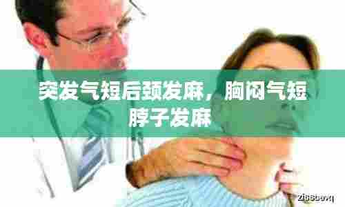 突发气短后颈发麻，胸闷气短脖子发麻 