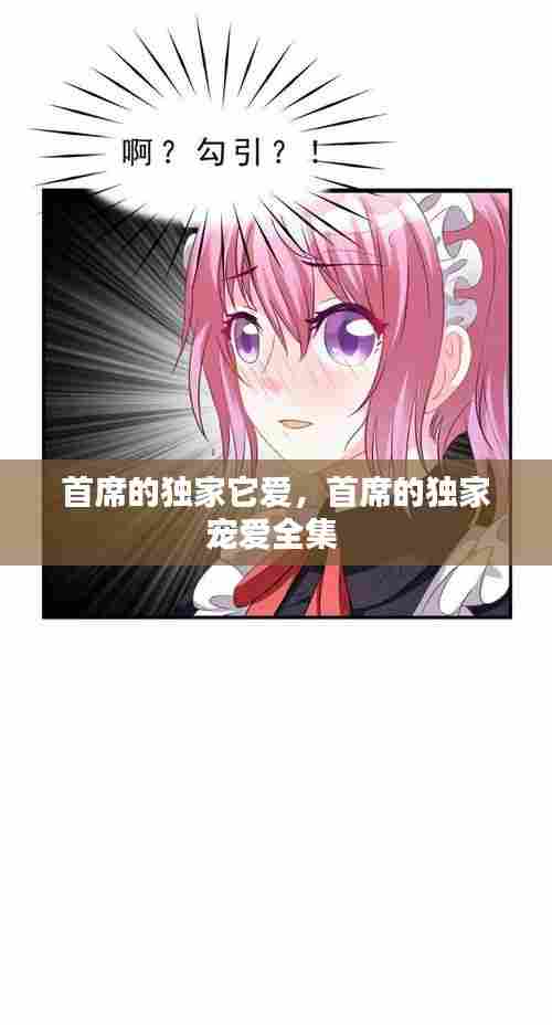 首席的独家它爱,首席的独家宠爱全集