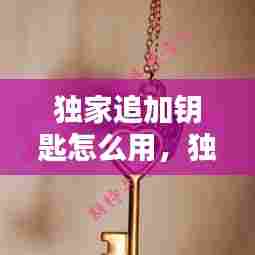 独家追加钥匙怎么用，独家追加钥匙怎么用啊 