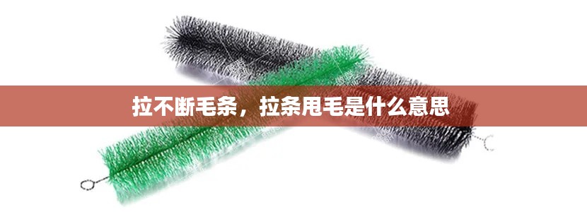 拉不断毛条,拉条甩毛是什么意思