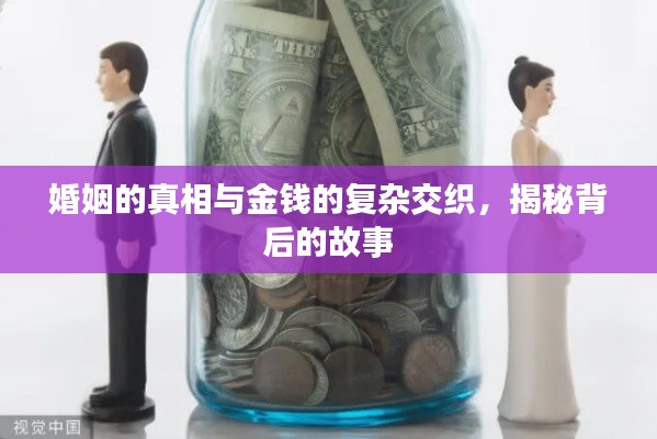 婚姻的真相与金钱的复杂交织，揭秘背后的故事