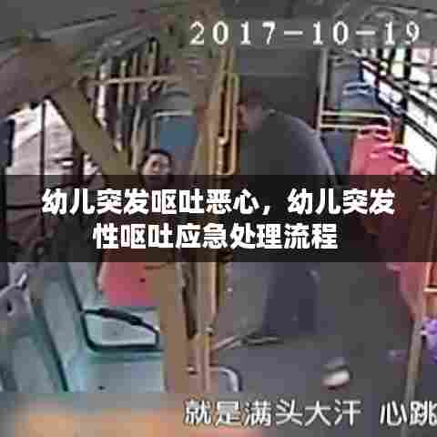 幼儿突发呕吐恶心,幼儿突发性呕吐应急处理流程