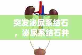 突发泌尿系结石，泌尿系结石并发症有哪些 