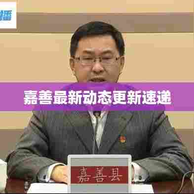 嘉善最新动态更新速递