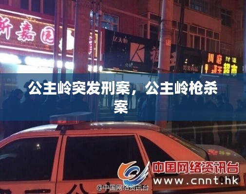 公主岭突发刑案,公主岭枪杀案