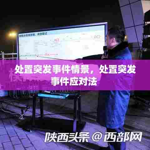 处置突发事件情景，处置突发事件应对法 