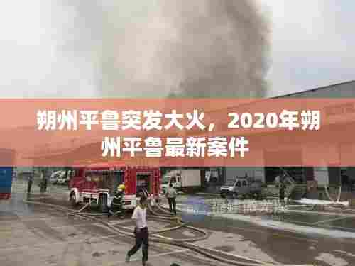 朔州平鲁突发大火,2020年朔州平鲁最新案件