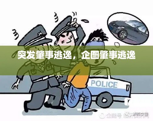 突发肇事逃逸,企图肇事逃逸