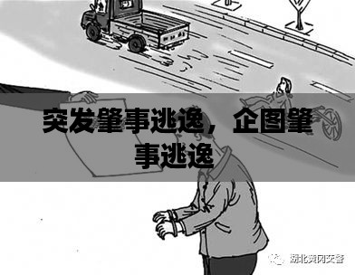 突发肇事逃逸,企图肇事逃逸