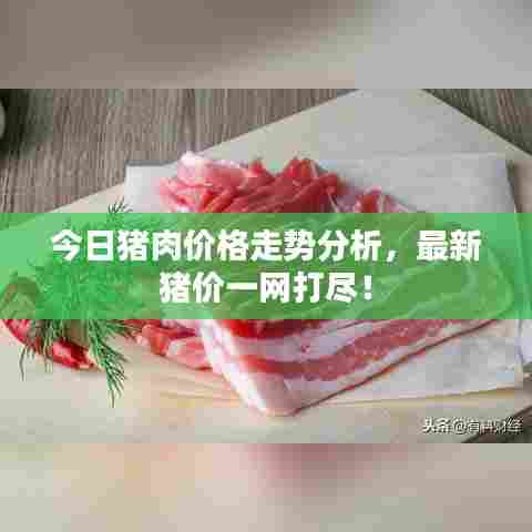 今日猪肉价格走势分析,最新猪价一网打尽!